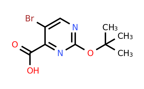 CAS 1023812-10-3 | 5-Bromo-2-(tert-butoxy)pyrimidine-4-carboxylic acid
