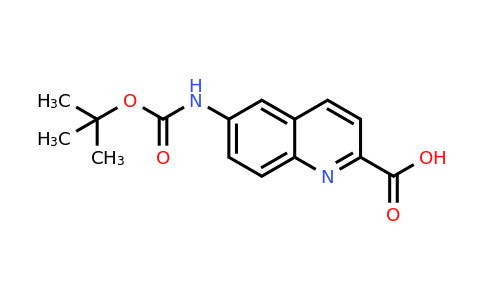 CAS 1023816-81-0 | 6-((tert-Butoxycarbonyl)amino)quinoline-2-carboxylic acid