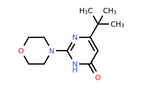 CAS 1023818-16-7 | 6-(tert-Butyl)-2-morpholinopyrimidin-4(3H)-one