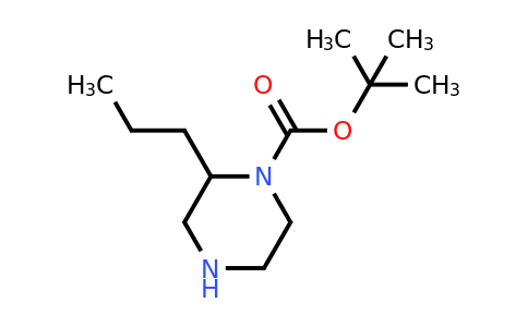 CAS 1027511-67-6 | tert-butyl 2-propylpiperazine-1-carboxylate