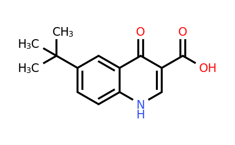 CAS 1027546-34-4 | 6-(tert-Butyl)-4-oxo-1,4-dihydroquinoline-3-carboxylic acid