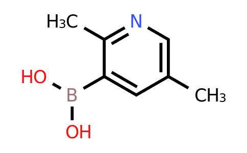 CAS 1029654-18-9 | 2,5-Dimethylpyridine-3-boronic acid