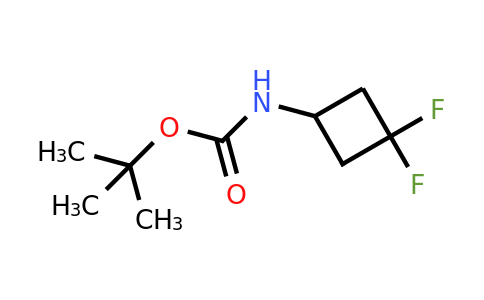 CAS 1029720-19-1 | tert-butyl n-(3,3-difluorocyclobutyl)carbamate