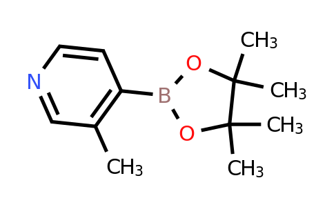 CAS 1032358-00-1 | 3-Methylpyridine-4-boronic acid pinacol ester