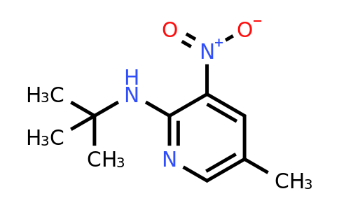 CAS 1033202-70-8 | 2-t-Butylamino-5-methyl-3-nitropyridine