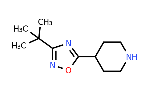 CAS 1036625-17-8 | 3-Tert-butyl-5-(piperidin-4-YL)-1,2,4-oxadiazole
