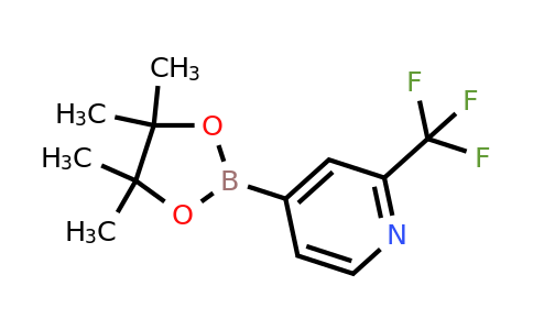 CAS 1036990-42-7 | 4-(4,4,5,5-Tetramethyl-1,3,2-dioxaborolan-2-YL)-2-(trifluoromethyl)pyridine