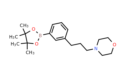 CAS 1036991-26-0 | 4-[3-[3-(4,4,5,5-Tetramethyl-[1,3,2]dioxaborolan-2-YL)-phenyl]-propyl]-morpholine