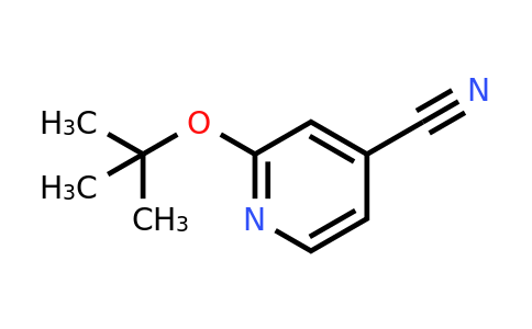 CAS 1037131-17-1 | 2-(tert-butoxy)pyridine-4-carbonitrile