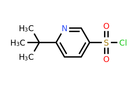 CAS 1037241-40-9 | 6-tert-butylpyridine-3-sulfonyl chloride