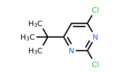 CAS 1037535-38-8 | 4-(tert-Butyl)-2,6-dichloropyrimidine