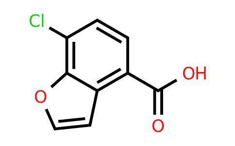 CAS 1038509-42-0 | 7-Chlorobenzofuran-4-carboxylic acid