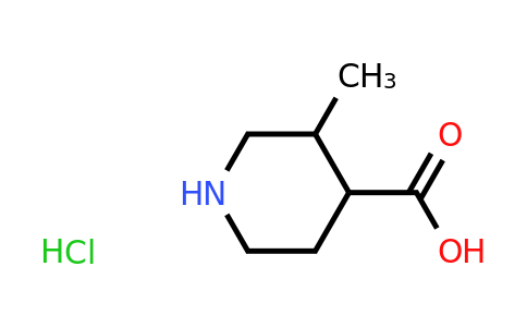 CAS 1038992-98-1 | 3-methylpiperidine-4-carboxylic acid hydrochloride