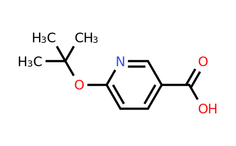 CAS 1039902-71-0 | 6-(tert-butoxy)pyridine-3-carboxylic acid
