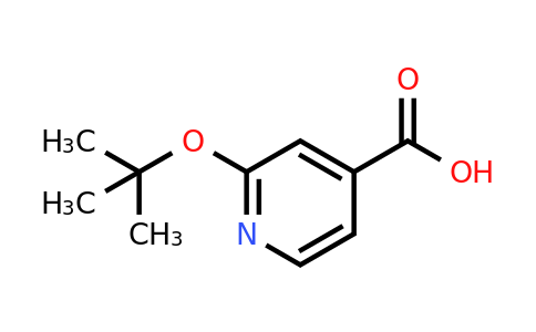 CAS 1039950-66-7 | 2-(tert-butoxy)pyridine-4-carboxylic acid