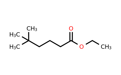 CAS 104093-22-3 | Ethyl 5,5-dimethylhexanoate