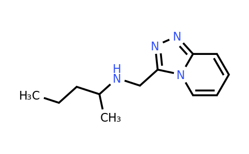 CAS 1042524-78-6 | (pentan-2-yl)({[1,2,4]triazolo[4,3-a]pyridin-3-yl}methyl)amine