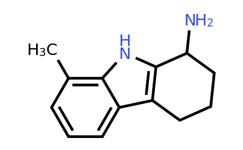 CAS 1042536-56-0 | 8-methyl-2,3,4,9-tetrahydro-1H-carbazol-1-amine