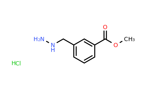 CAS 1048669-55-1 | Methyl 3-(hydrazinylmethyl)benzoate hydrochloride