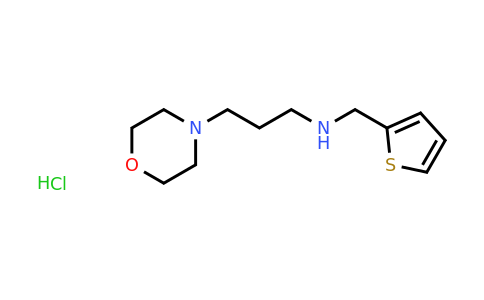 CAS 1049742-40-6 | [3-(morpholin-4-yl)propyl][(thiophen-2-yl)methyl]amine hydrochloride