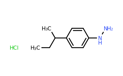 CAS 1049748-81-3 | (4-(sec-Butyl)phenyl)hydrazine hydrochloride