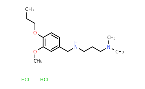 CAS 1049750-88-0 | [3-(dimethylamino)propyl][(3-methoxy-4-propoxyphenyl)methyl]amine dihydrochloride