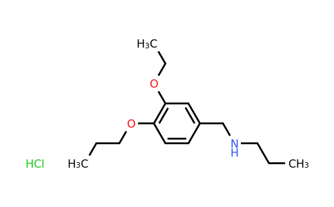 CAS 1049773-78-5 | [(3-ethoxy-4-propoxyphenyl)methyl](propyl)amine hydrochloride