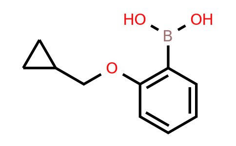 CAS 1050510-36-5 | 2-(Cyclopropylmethoxy)phenylboronic acid