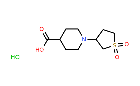 CAS 1052541-78-2 | 1-(1,1-dioxothiolan-3-yl)piperidine-4-carboxylic acid;hydrochloride
