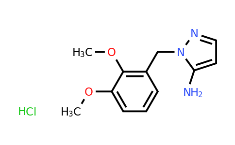 CAS 1052544-71-4 | 1-[(2,3-dimethoxyphenyl)methyl]-1H-pyrazol-5-amine hydrochloride