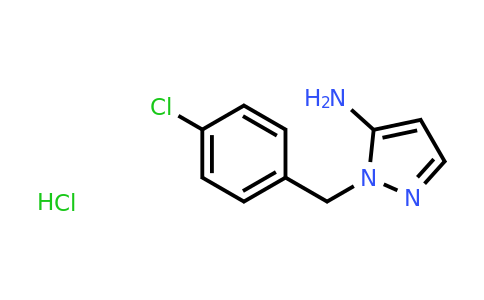 CAS 1052552-81-4 | 1-[(4-chlorophenyl)methyl]-1H-pyrazol-5-amine hydrochloride