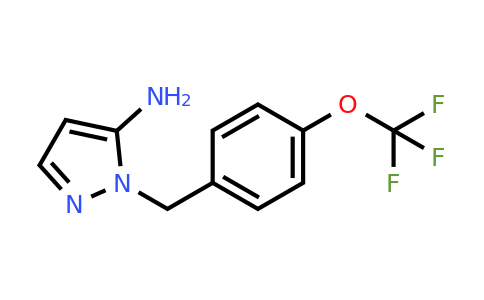CAS 1052564-95-0 | 1-{[4-(trifluoromethoxy)phenyl]methyl}-1H-pyrazol-5-amine