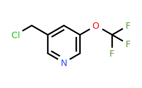 CAS 1060815-05-5 | 3-(Chloromethyl)-5-(trifluoromethoxy)pyridine