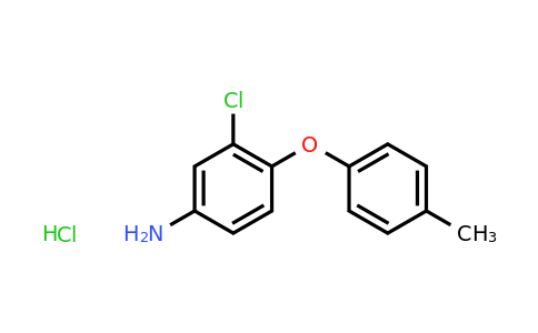 CAS 106131-94-6 | 3-Chloro-4-(p-tolyloxy)aniline hydrochloride