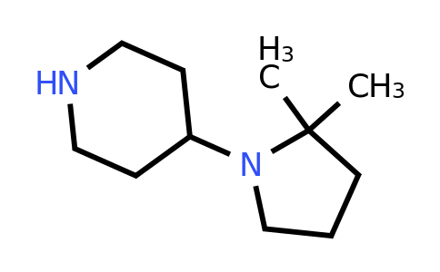 CAS 1061682-59-4 | 4-(2,2-dimethylpyrrolidin-1-yl)piperidine