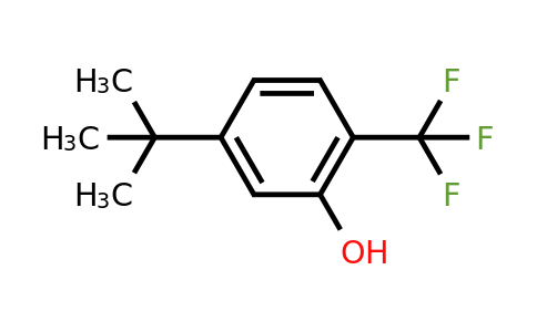 CAS 106877-51-4 | 5-Tert-butyl-2-(trifluoromethyl)phenol