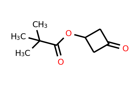 CAS 1071194-23-4 | 3-oxocyclobutyl pivalate