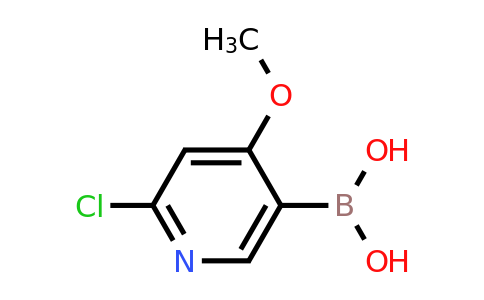 CAS 1072946-20-3 | 2-Chloro-4-methoxypyridine-5-boronic acid
