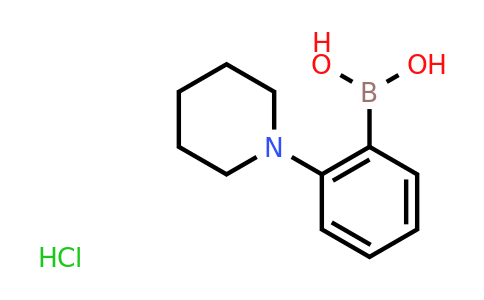 CAS 1072952-24-9 | 2-(Piperidino)phenylboronic acid hcl