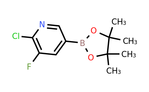 CAS 1073312-28-3 | 6-Chloro-5-fluoropyridine-3-boronic acid pinacol ester