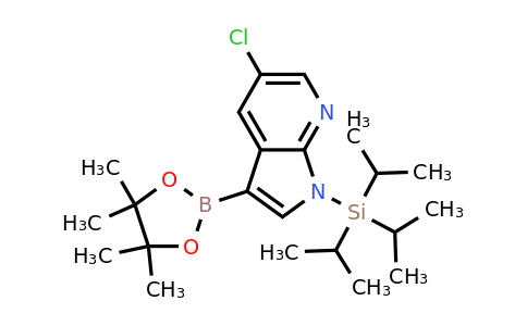 CAS 1073338-95-0 | 5-Chloro-3-(4,4,5,5-tetramethyl-1,3,2-dioxaborolan-2-YL)-1-(triisopropylsilyl)-1H-pyrrolo[2,3-B]pyridine