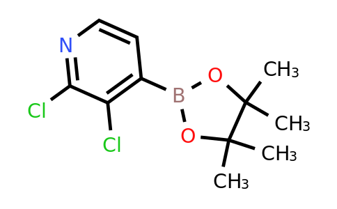 CAS 1073353-78-2 | 2,3-Dichloropyridine-4-boronic acid pinacol ester