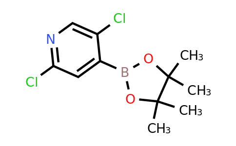 CAS 1073353-98-6 | 2,5-Dichloropyridine-4-boronic acid pinacol ester