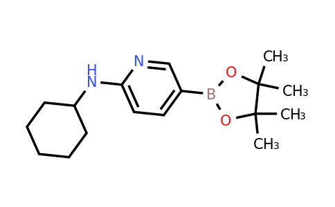 CAS 1073354-34-3 | 6-(Cyclohexylamino)pyridine-3-boronic acid pinacol ester