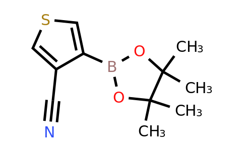 CAS 1073354-61-6 | 3-Cyanothiophene-4-boronic acid pinacol ester