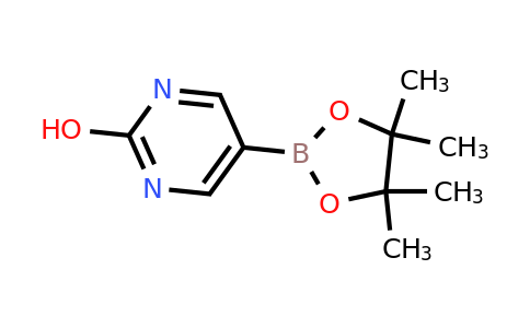 CAS 1073354-84-3 | 2-Hydroxypyrimidine-5-boronic acid pinacol ester