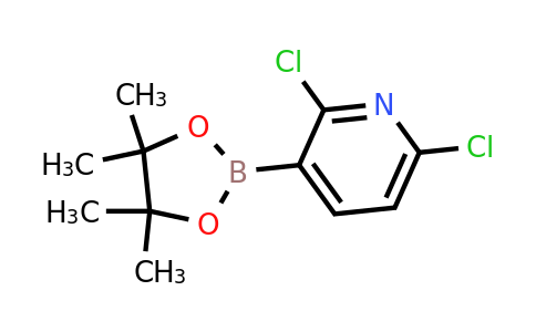 CAS 1073371-78-4 | 2,6-dichloro-3-(4,4,5,5-tetramethyl-1,3,2-dioxaborolan-2-yl)pyridine