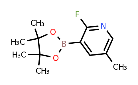 CAS 1073371-96-6 | 2-Fluoro-5-methylpyridine-3-boronic acid pinacol ester