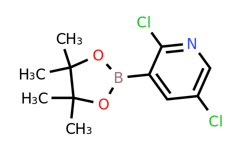 CAS 1073371-98-8 | 2,5-Dichloropyridine-3-boronic acid pinacol ester