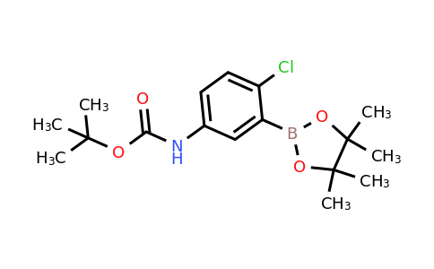 CAS 1080573-28-9 | tert-butyl N-[4-chloro-3-(4,4,5,5-tetramethyl-1,3,2-dioxaborolan-2-yl)phenyl]carbamate